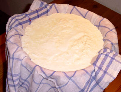 Dickmilch auf dem Seiher
