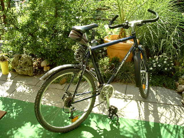 Mein Mountainbike, gekauft 1995