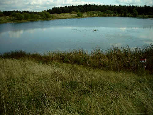 Herrmann_See