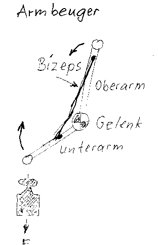 Beugen