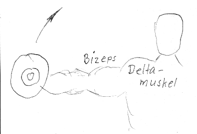Bizeps