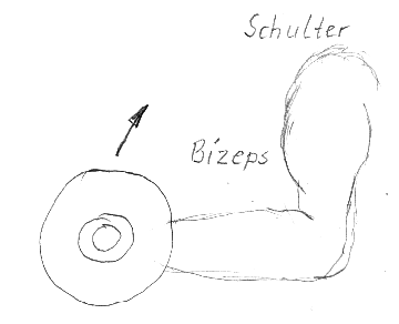 Bizeps