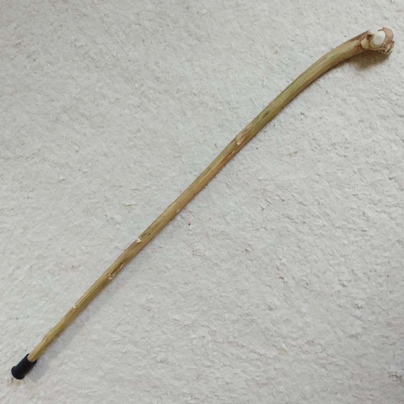 Hartriegel