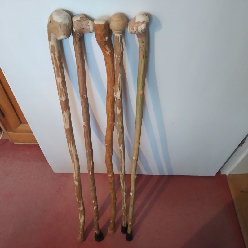 Meine Stöcke